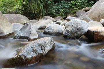 Naklejka na ściany i meble stream in tropical forest