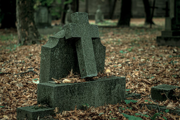stary opuszczony cmentarz i bezimienne groby