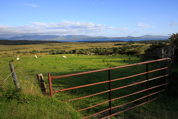 fence in a field in Ireland