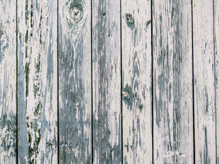 Fototapeta na wymiar wooden fence from vertical boards. photo