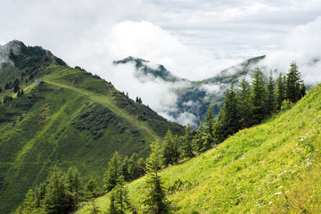 Fototapeta na wymiar After the rain in the mountains, Austria, Kleinwalsertal; view from the Walmendinger Horn to the Muttelbergkopf