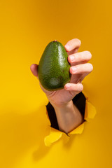 Hand holding a fresh avocado