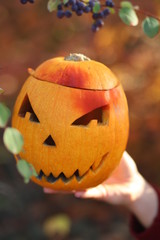 halloween concept. bright pumpkin .Halloween