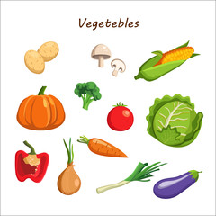 Vector vegetables icons set in cartoon style. mushrooms, cabbage, potatoes, broccoli, pumpkin, onion, pepper, tomato, carrot, eggplant. Collection farm product for restaurant