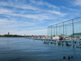 New York City Harbour with Boats