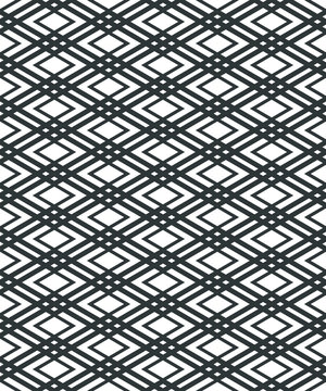 Black and white trellis pattern, seamless geometric pattern, hatch lines, checkered pattern, black and white vector illustration.
