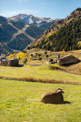 Autumn in the Incles Valley, Andorra. Vall d´Incles, Andorra