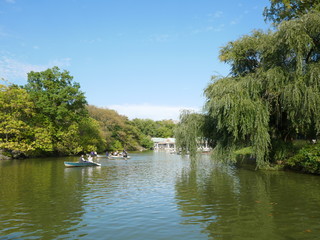 Fototapeta na wymiar People Rowing on Central Park Lake 