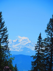Le sommet du Mont Blanc apparaît entre deux sapins