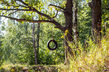 Tire swing on old thick oak