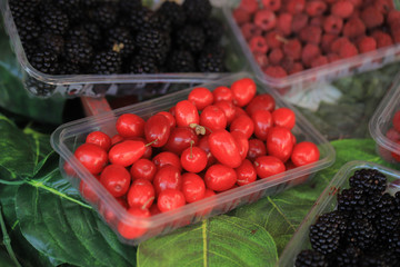 Red berries of cornel or dogwood on the market