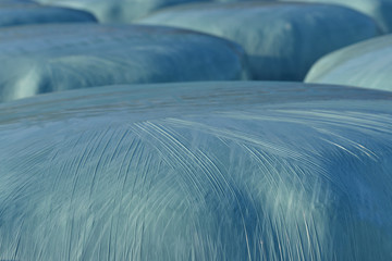 Close-up and background with straw bales wrapped in blue plastic wrap