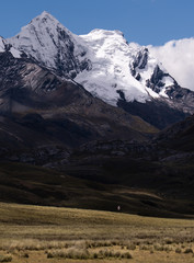 Fototapeta premium Woman .contemplate the landscape in the Pastoruri mountain, Ancash, Peru.