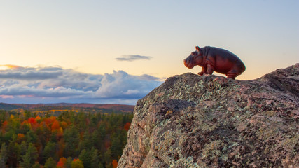 A Hippopotamus Toy Looks Out Over the Forest