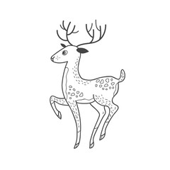 Illustration of a deer. Vector linear freehand illustration in doodle style. Christmas deer