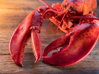 Steamed lobster seafood on wood background