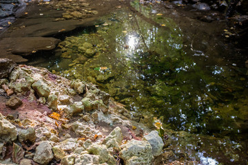 Water at the bottom of the ravine with a beautiful texture