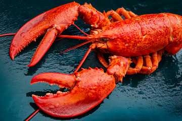 Steamed lobster seafood on black background