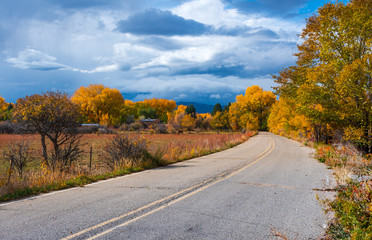 Counrty road winds through vibrant autumn landscape of New Mexico