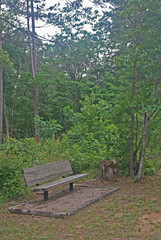 Fototapeta premium Bench in the forest