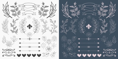 Hand Drawn Floral Elements Design Vector