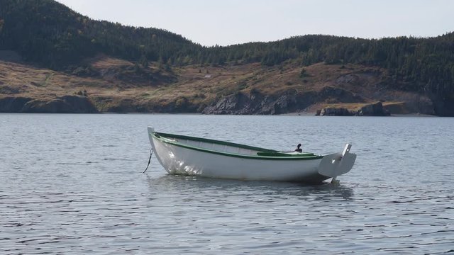 old fishing boat moored in Trinity Bay, Newfoundland and Labrador, Canada.