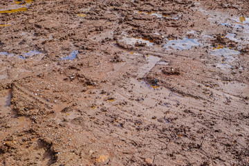 雨水で濡れた造成工事中の土地