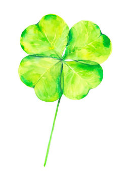 Watercolor illustration of a beautiful green clover for St. Patrick's day.Isolated on white background