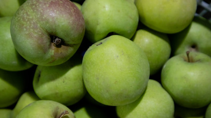 Green apple, Original products from local Indonesian farmers with a pretty good business value
