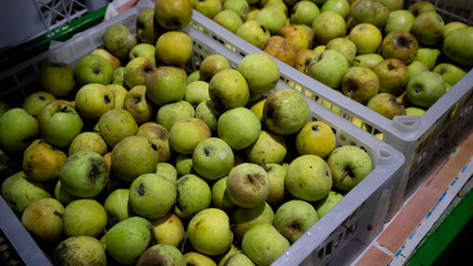 Green apple, Original products from local Indonesian farmers with a pretty good business value