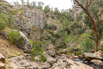 rock cliff in the forest