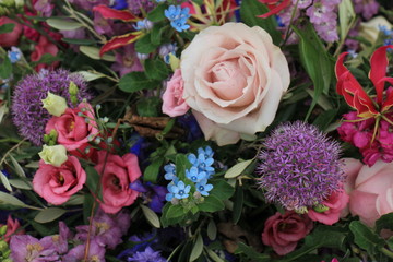 Big purple roses
