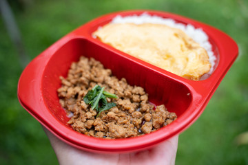 Stir fried pork with soy sauce with omelette