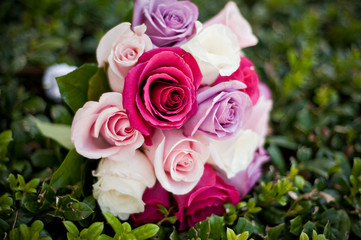bouquet of pink and purple roses