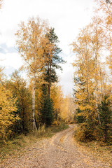 Obraz premium осень