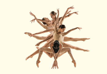 The group of modern ballet dancers like a tree. Contemporary art ballet. Young flexible athletic people in tights. Copyspace. Concept of dance grace, inspiration, creativity. Made of shots of 5 models