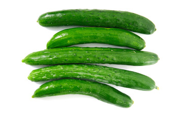 green long cucumbers on a white background