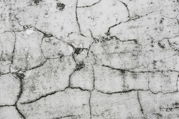 White cracks in old plaster walls With black moss on the ground