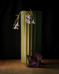 Still Life of Purple Shamrocks in a Tall Green Vase 