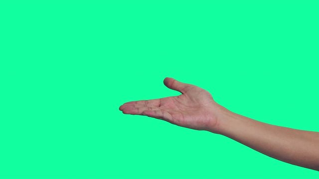 案内する手　クロマキー合成用グリーンバック