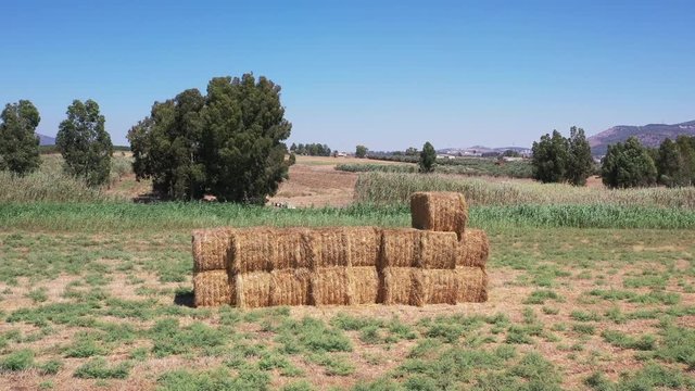 the fields in the valley of afula are
