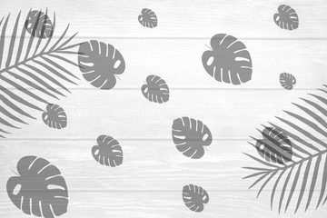 The background of the white plank with the shadow of the leaves is the background for the summers or holidays.