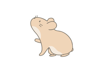 かわいいハムスター