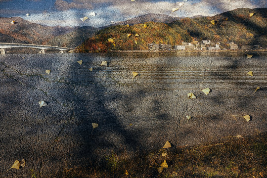 Multiple exposure images of lake in Fuji and the road with fallen autumn leaves.