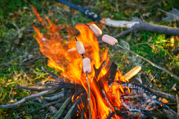 fried sausages on a fire during a picnic in the woods