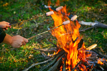 fried sausages on a fire during a picnic in the woods
