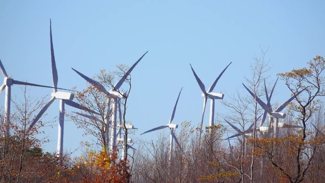 Telephoto view of wind turbines operating with trees and plants in foreground.