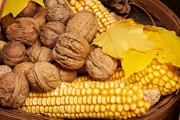 Fruits and vegetables with apples, corn, nuts, berries - autumn harvest and healthy food concept. Yellow leaves. Still life on wooden background.
