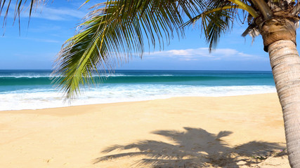 tropical beach with palm trees at phuket beach