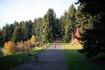 Scene of Mt. Tabor's water reservoirs park in Oregon state